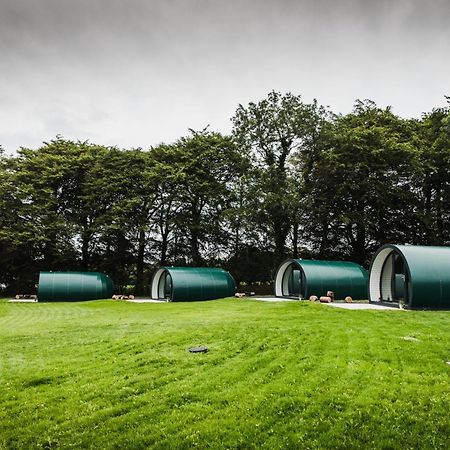 Further Space At Thornfield Luxury Glamping Pods, The Dark Hedges, Ballycastle Ballymoney Bagian luar foto