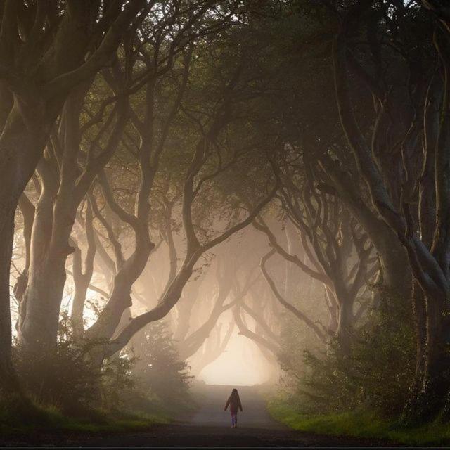 Further Space At Thornfield Luxury Glamping Pods, The Dark Hedges, Ballycastle Ballymoney Bagian luar foto